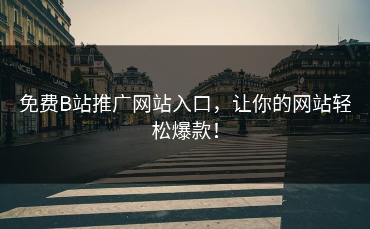 免费B站推广网站入口，让你的网站轻松爆款！