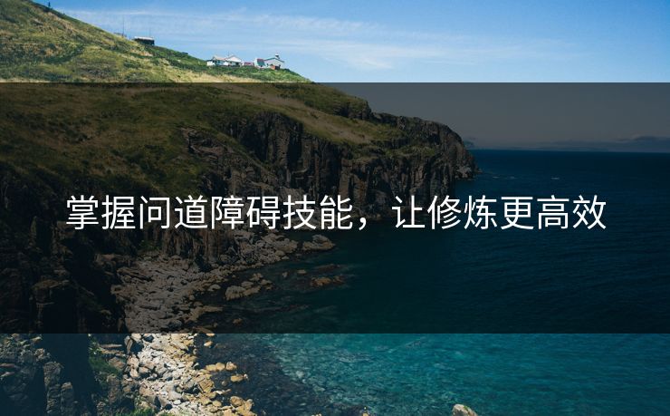掌握问道障碍技能，让修炼更高效