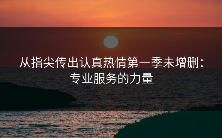 从指尖传出认真热情第一季未增删：专业服务的力量