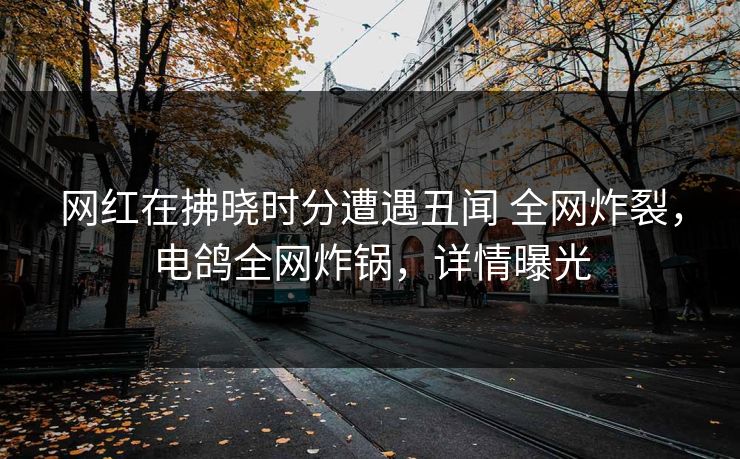 网红在拂晓时分遭遇丑闻 全网炸裂，电鸽全网炸锅，详情曝光