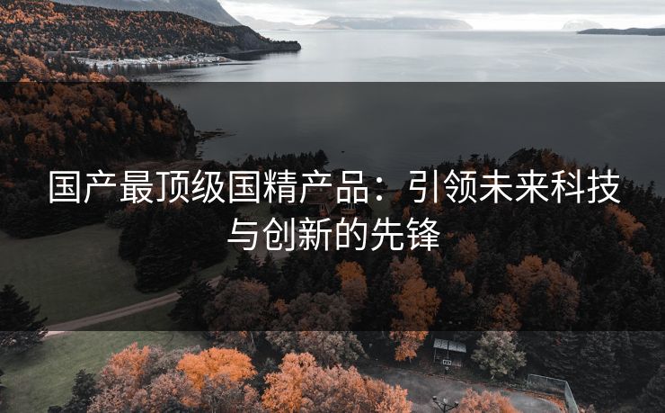 国产最顶级国精产品：引领未来科技与创新的先锋
