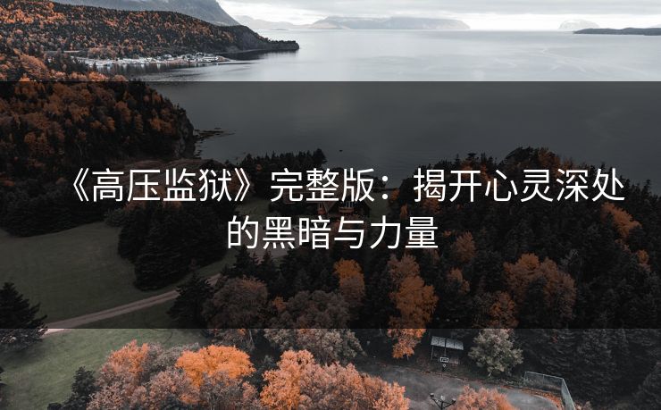 《高压监狱》完整版：揭开心灵深处的黑暗与力量