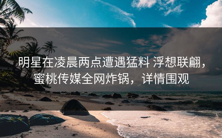 明星在凌晨两点遭遇猛料 浮想联翩，蜜桃传媒全网炸锅，详情围观